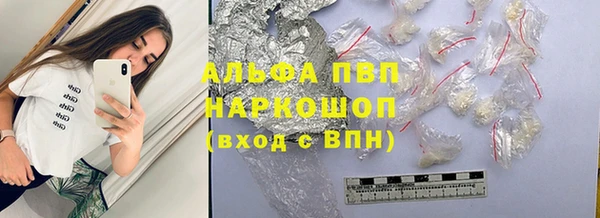 СК Медногорск