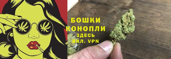 МДПВ Магас