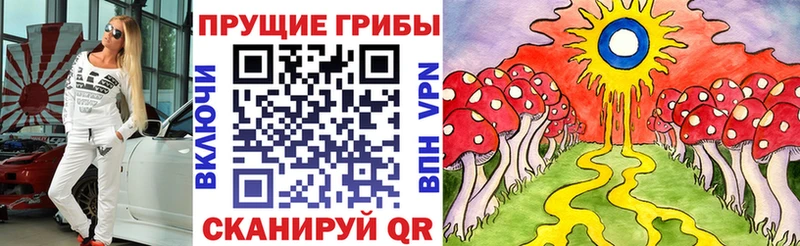 Галлюциногенные грибы Magic Shrooms  Купить  Белорецк 